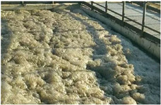 去除污水處理中的泡沫，可以選擇物理消泡器